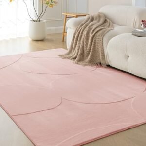 Amazon Basics Indoor Area Rugs